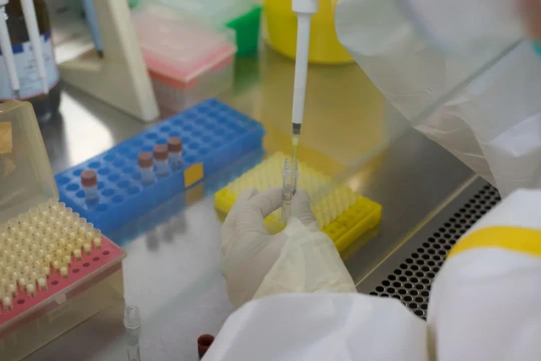 核酸檢測又降價！多地增設(shè)24小時檢測服務(wù)機(jī)構(gòu)